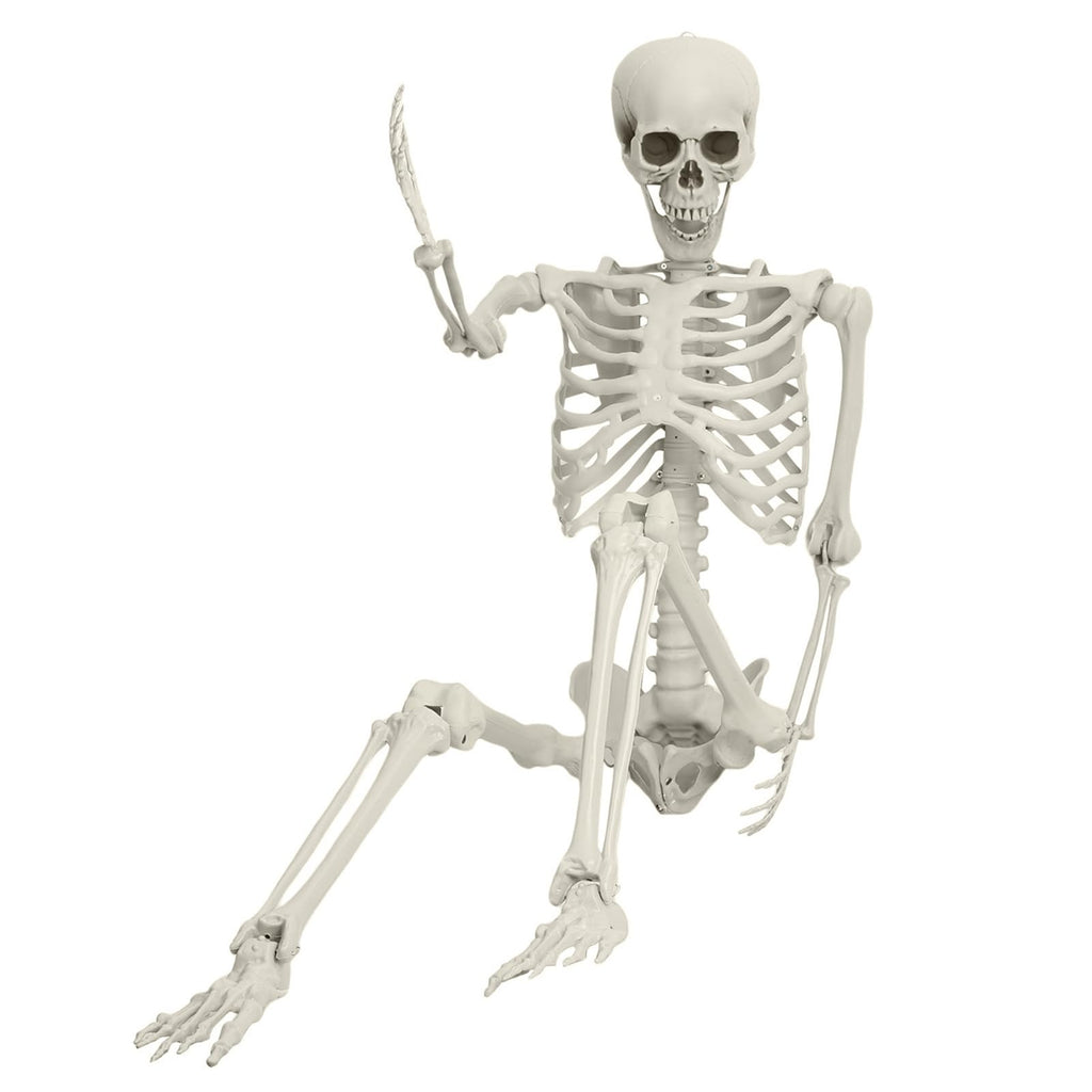 5.4FT 170cm Life Size Posable Skeleton with Movable Joints S754184