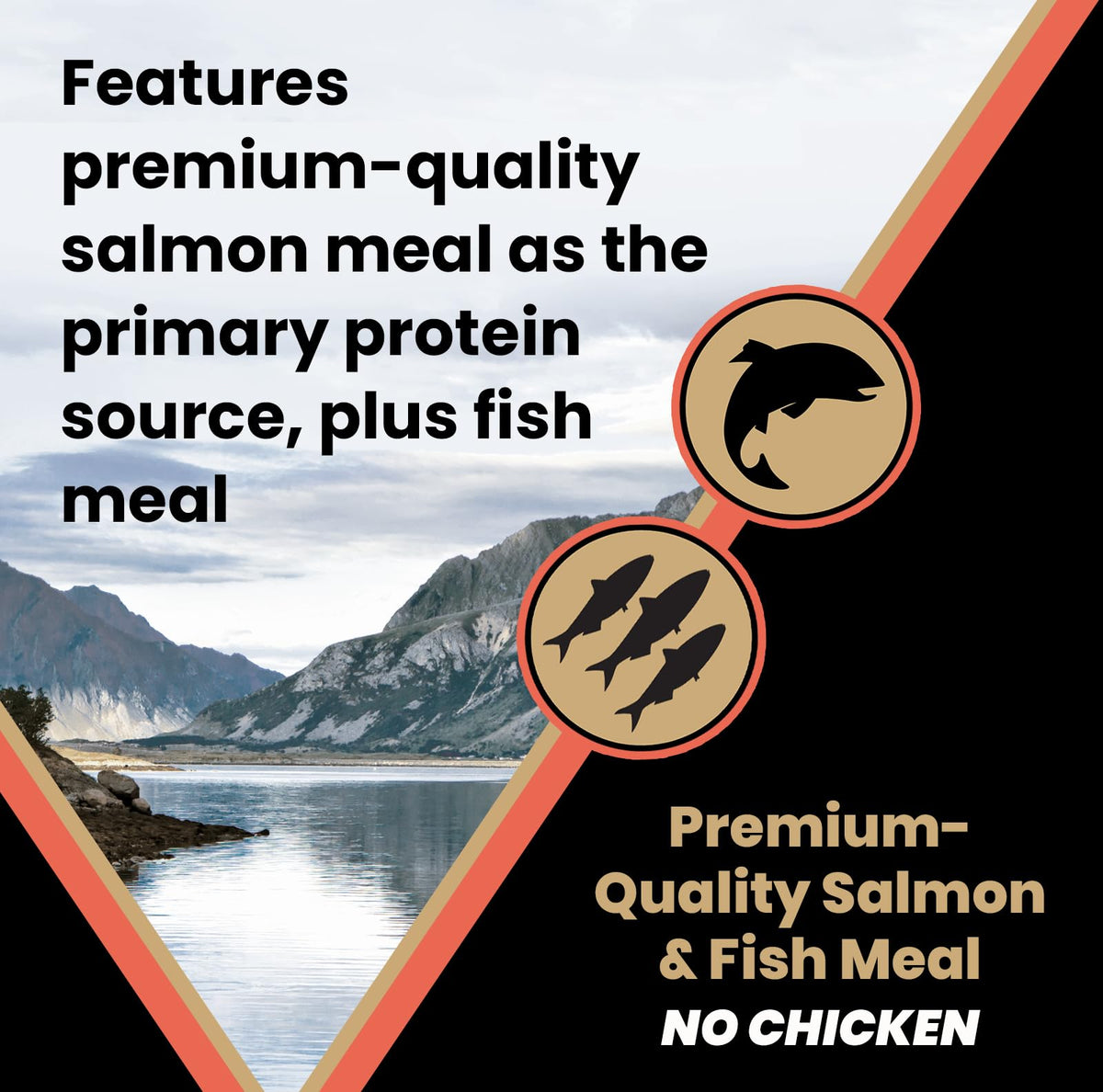 Salmon Meal & Brown Rice Dog Food, 30 lb X1913