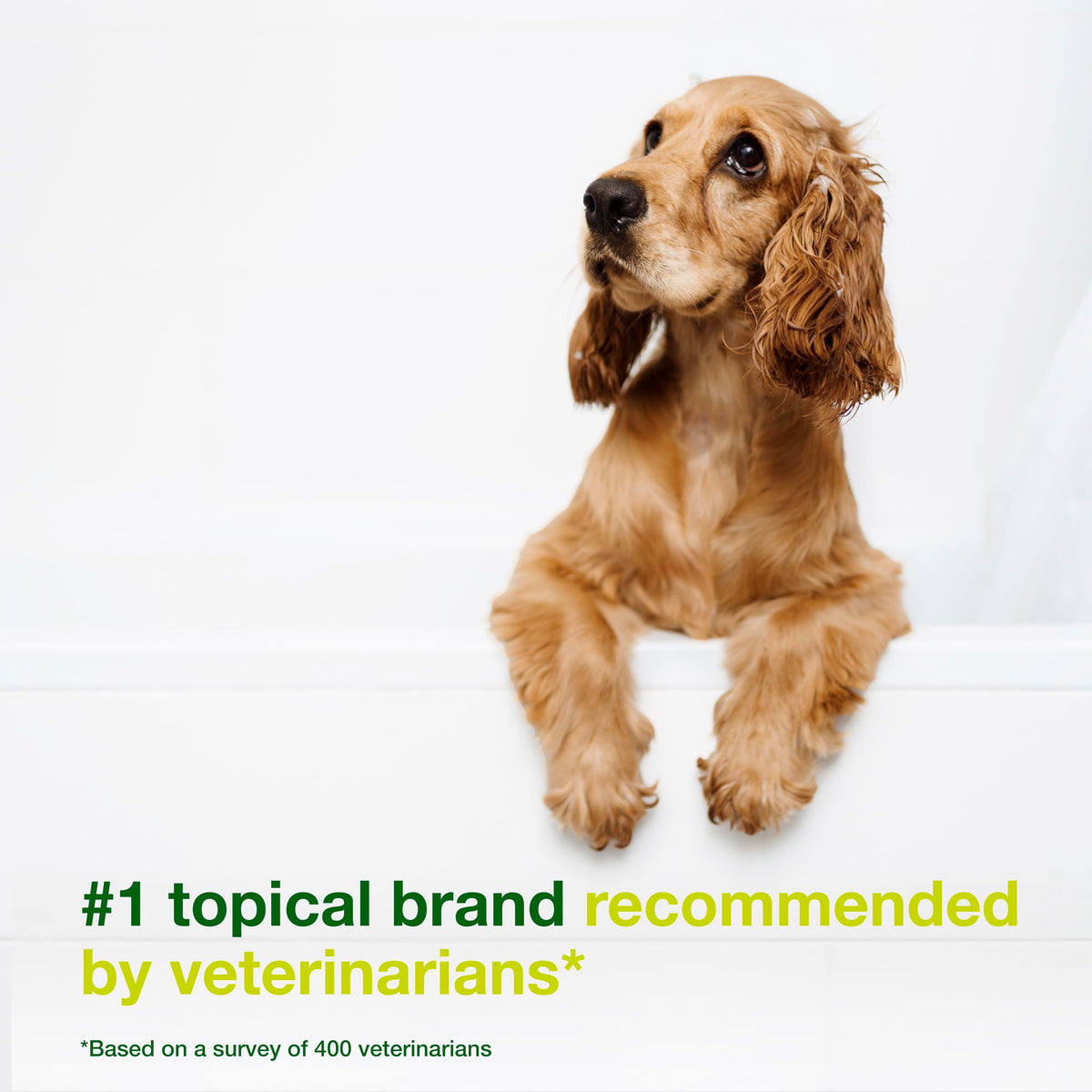 Dog Seboregulating Shampoo 16.9 fl oz Z501