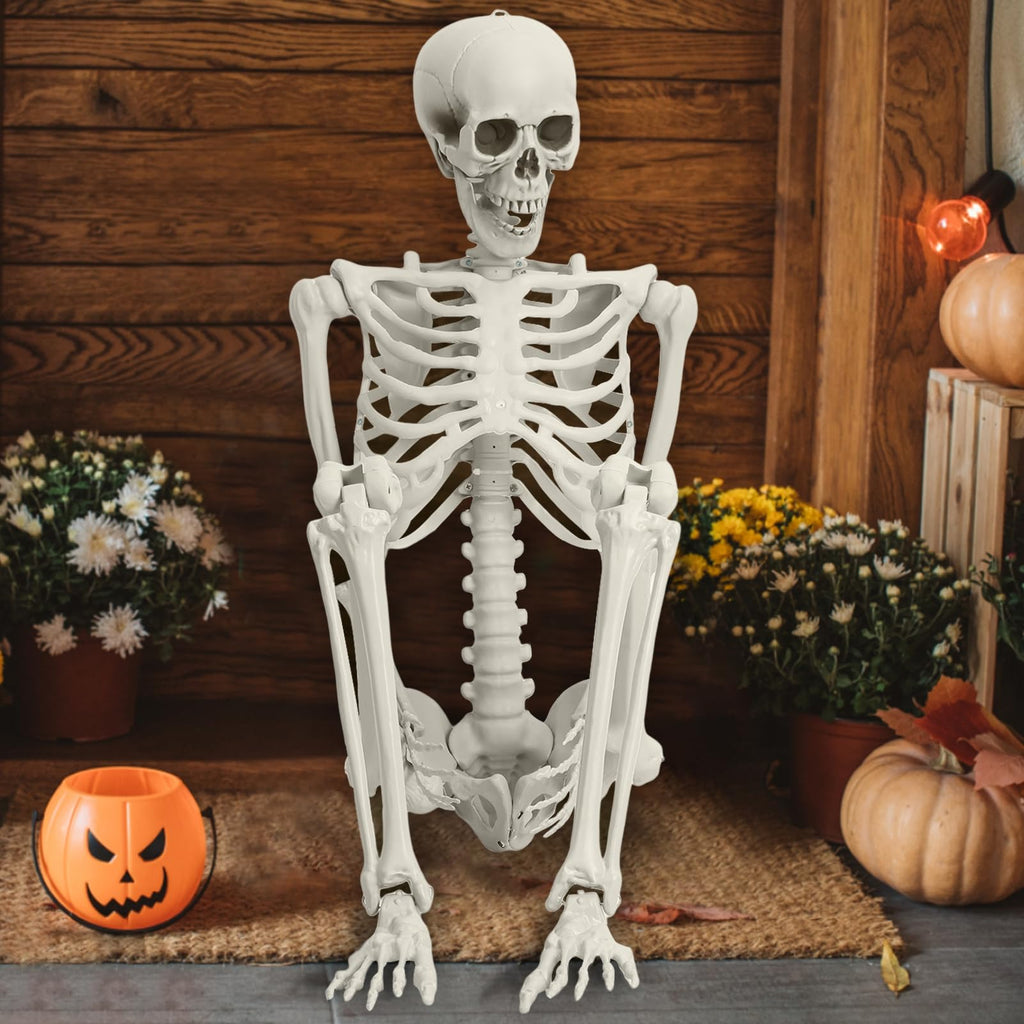 5.4FT 170cm Life Size Posable Skeleton with Movable Joints S754184