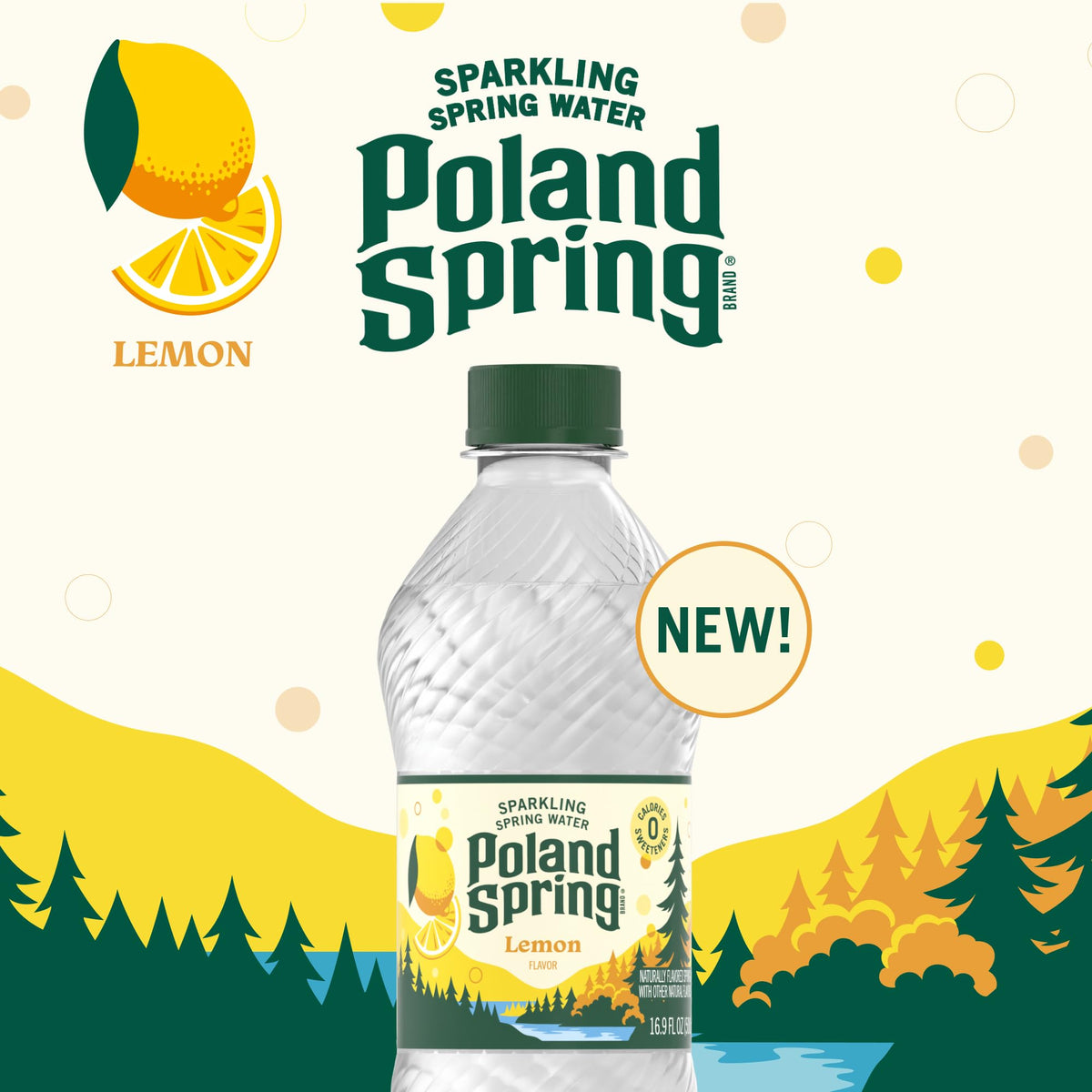 Sparkling Water 16.9 oz Bottles Pack of 8 I96515