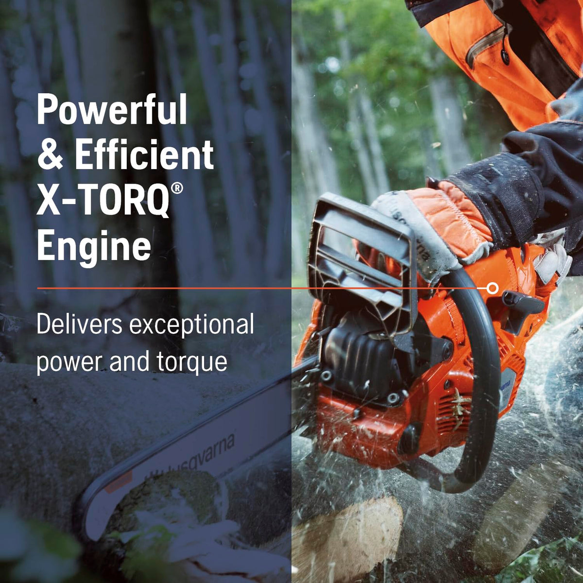 Gas Chainsaw with X-Cut Chain D823