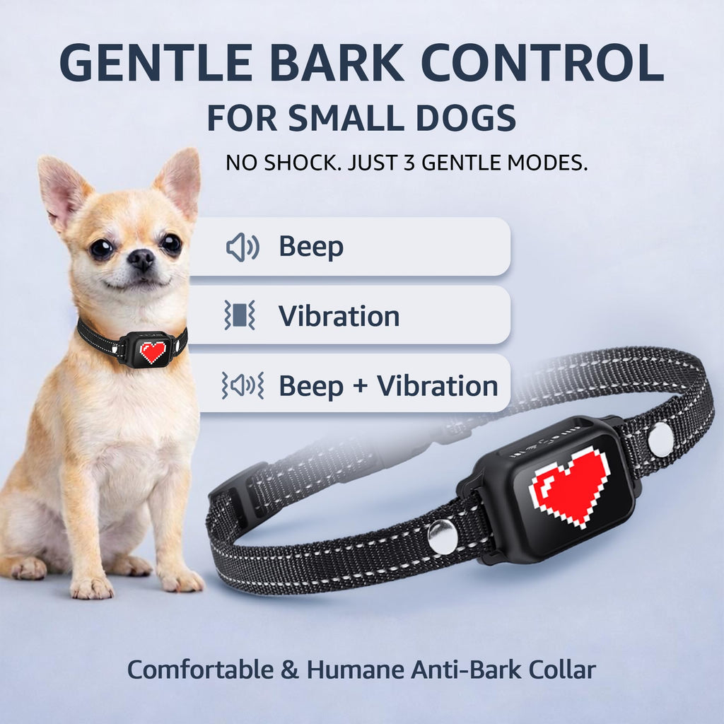 Small Dogs Bark Collar with Magnetic Charging L94008