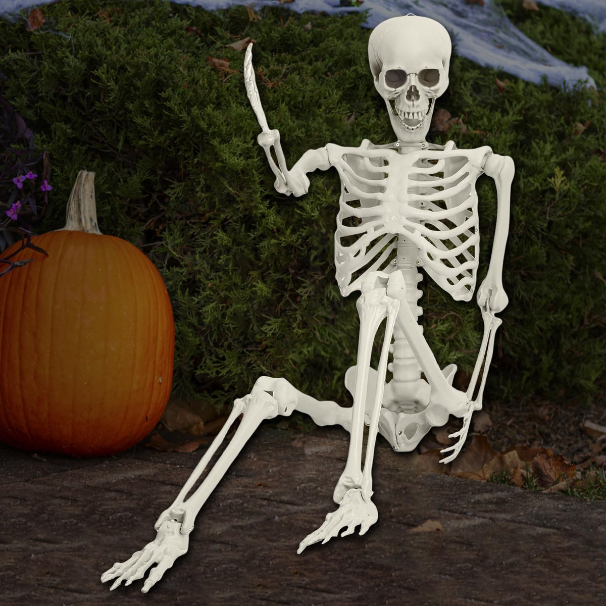 5.4FT 170cm Life Size Posable Skeleton with Movable Joints S754184