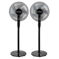2 Pack Oscillating Pedestal Stand Fan, 12-Speed, 16", Black with Remote Control A394