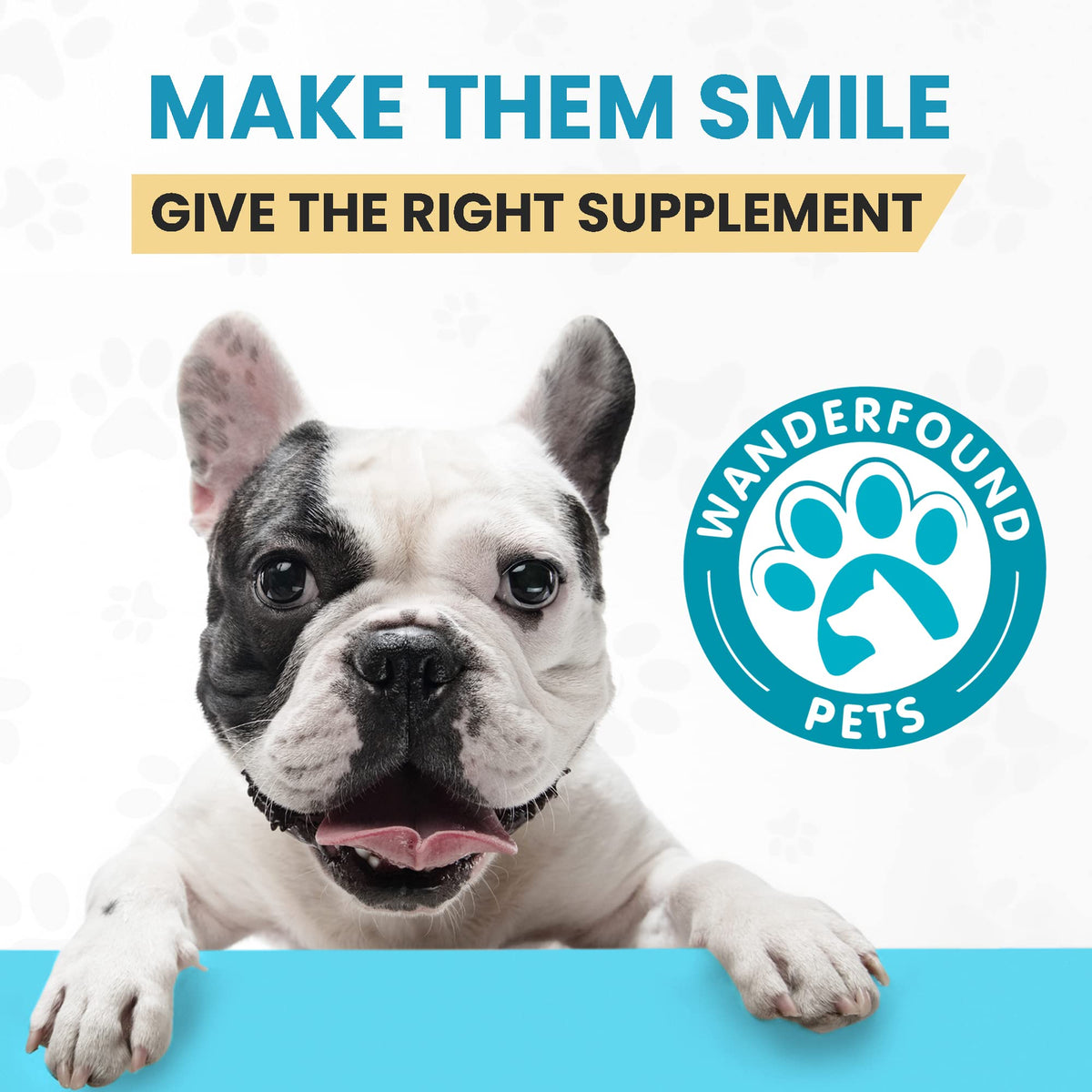 Milk Thistle & SAMe100 for Dogs F3422