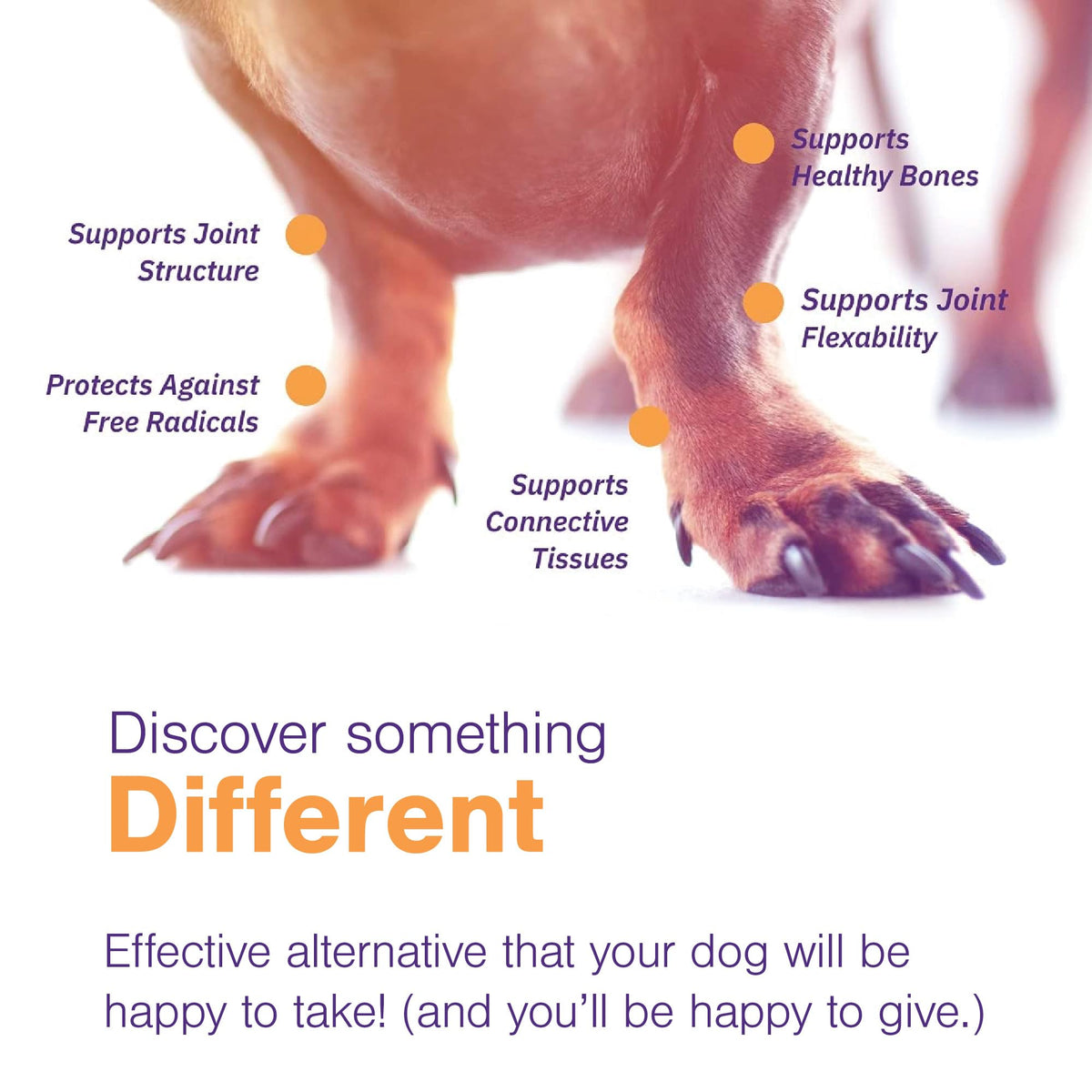 Joint Support Supplement for Dogs - 60 Soft Chews for Small Dogs A5501