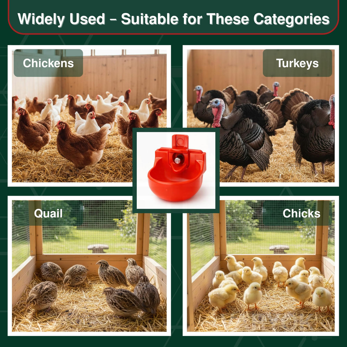 12-Pack Chicken Water Nipples with Cups L231