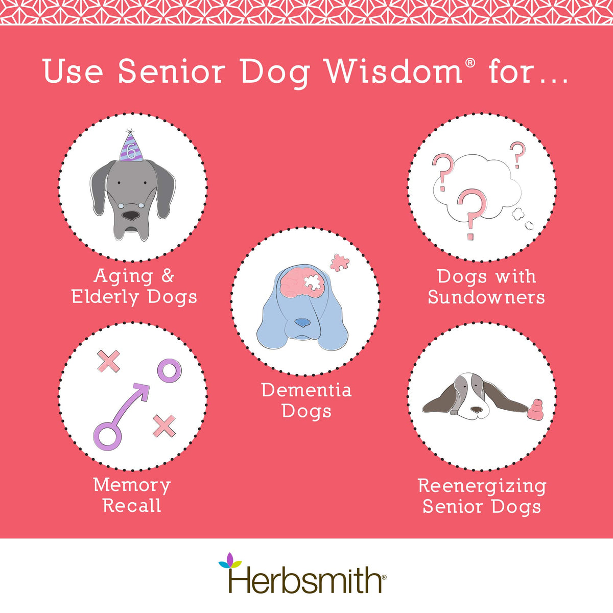Senior Dog Supplement 60ct Small Chews E477