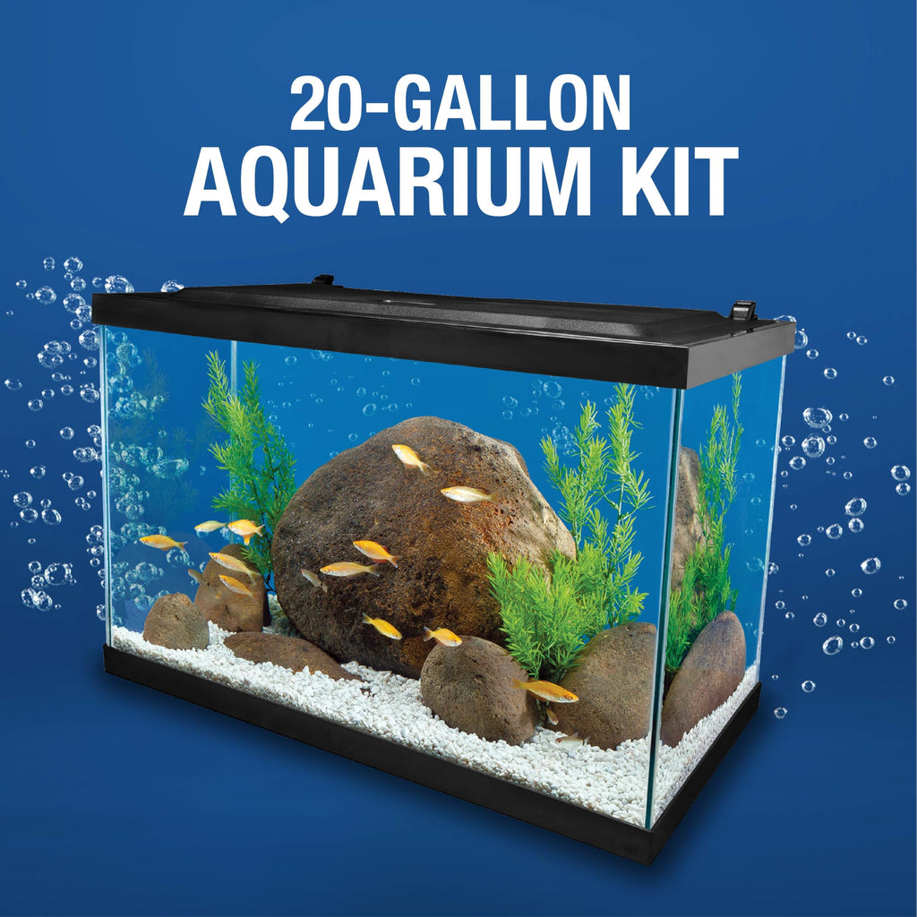 20 Gallon Fish Tank Kit G35988