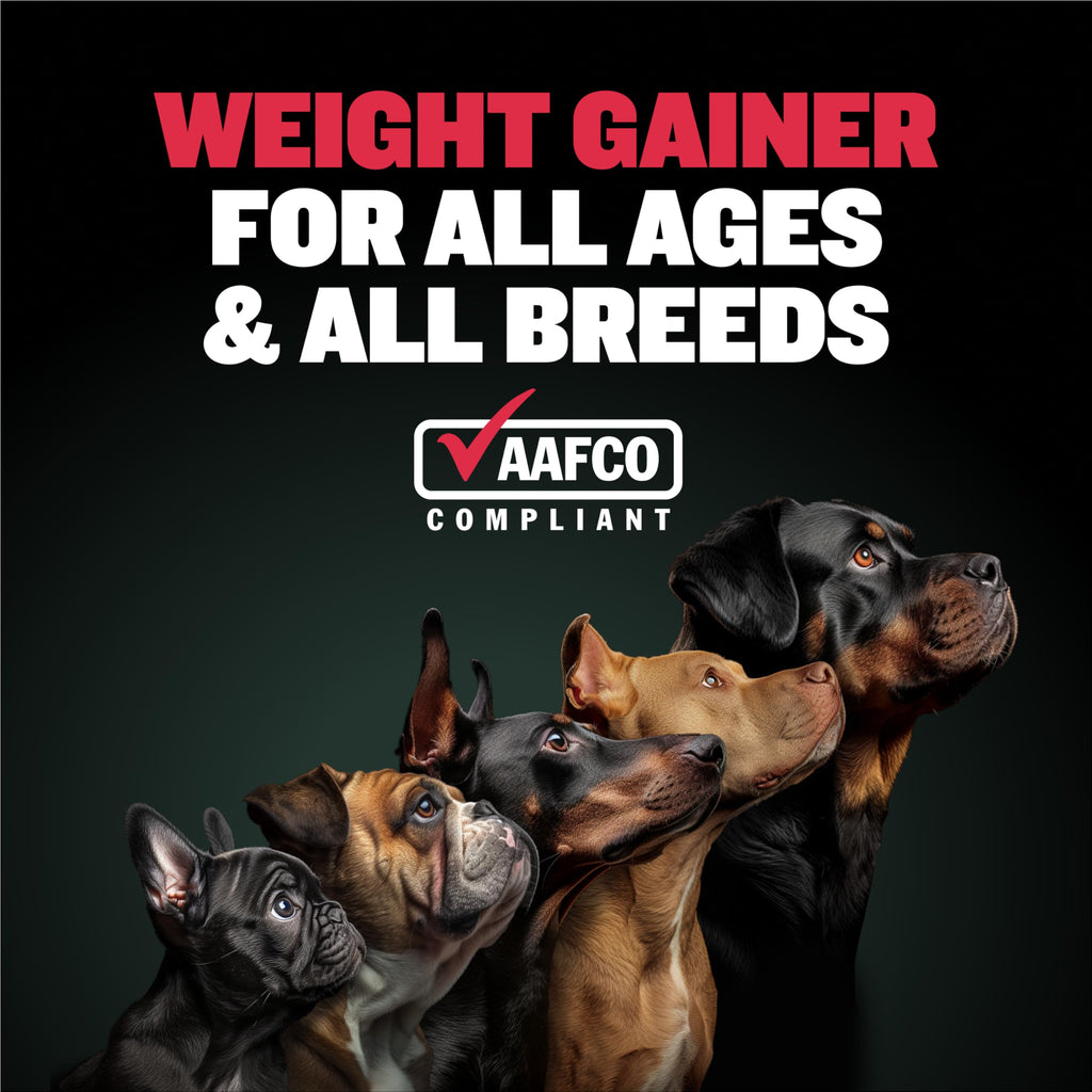 15lb Dry Dog Food C145837