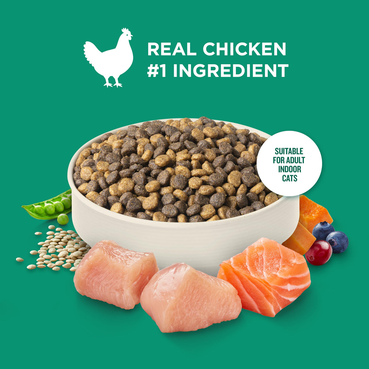 Indoor Complete Dry Cat Food 14 lb. Bag X211850