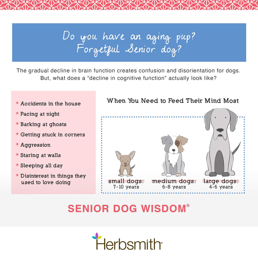 Senior Dog Supplement 60ct Small Chews E477