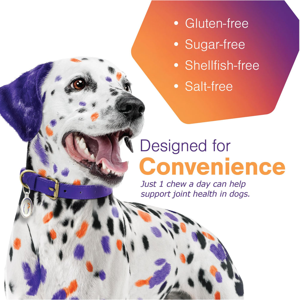 Joint Support Supplement for Dogs - 60 Soft Chews for Small Dogs A5501