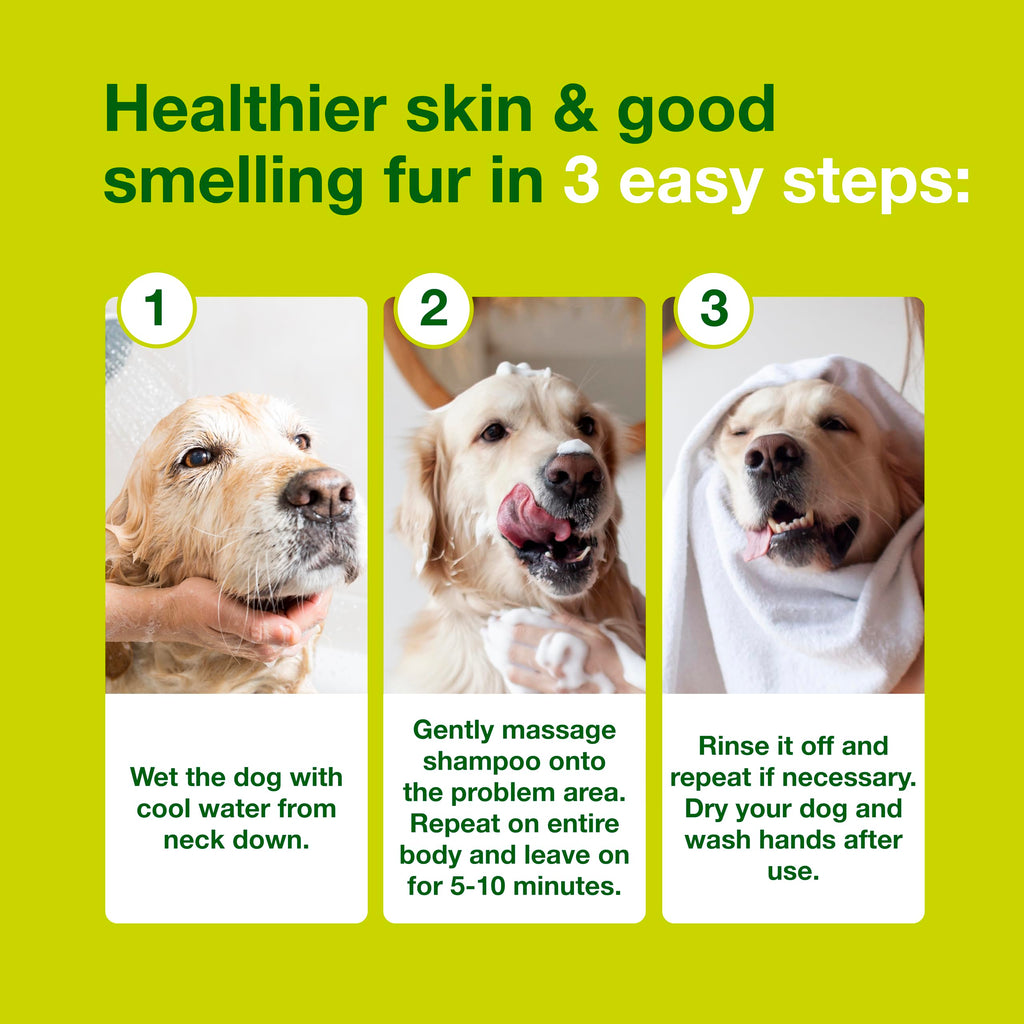 Dog Seboregulating Shampoo 16.9 fl oz Z501