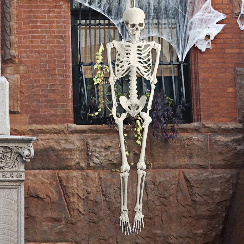 5.4FT 170cm Life Size Posable Skeleton with Movable Joints S754184