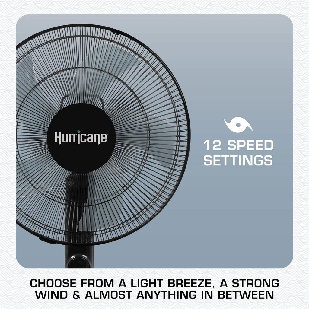 2 Pack Oscillating Pedestal Stand Fan, 12-Speed, 16", Black with Remote Control A394