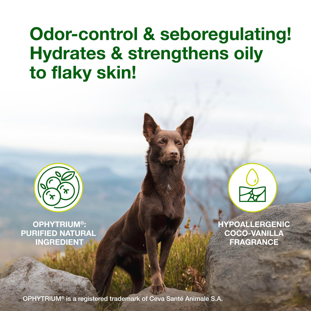 Dog Seboregulating Shampoo 16.9 fl oz Z501