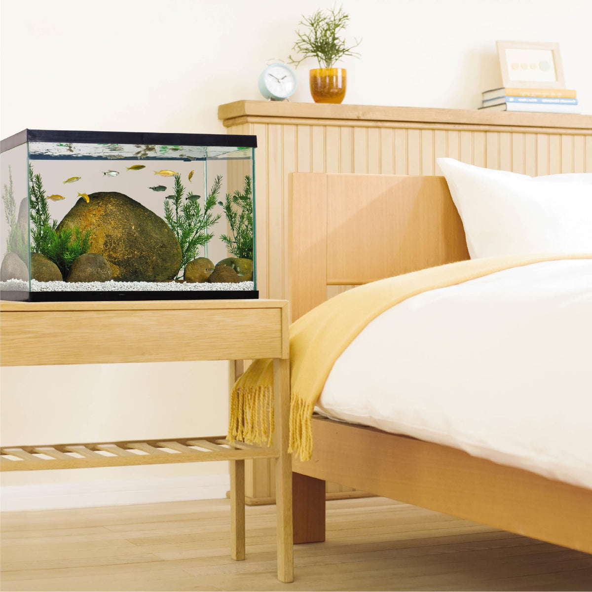 20 Gallon Fish Tank Kit G35988