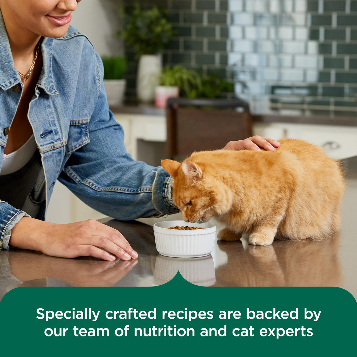 Indoor Complete Dry Cat Food 14 lb. Bag X211850