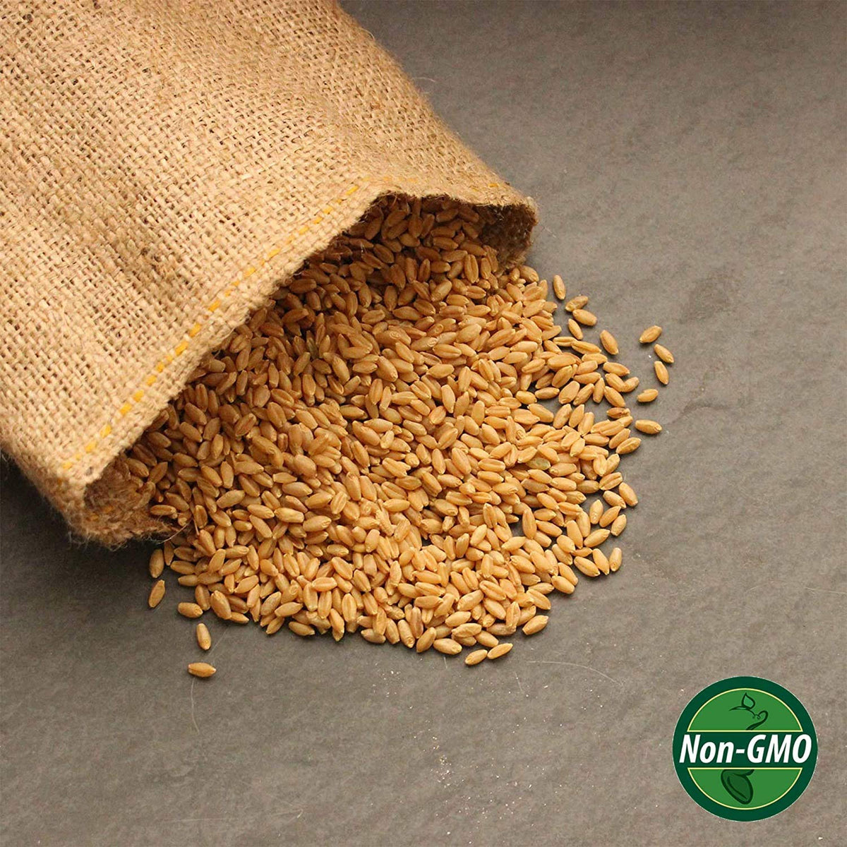 Organic Whole Wheat Kernels 2.5 Lb Non-GMO Hard White I148210