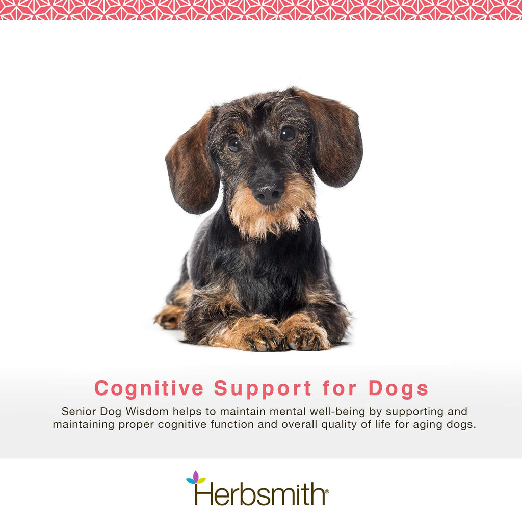 Senior Dog Supplement 60ct Small Chews E477