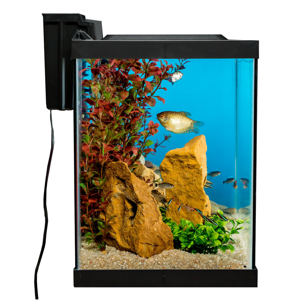 20 Gallon Fish Tank Kit G35988