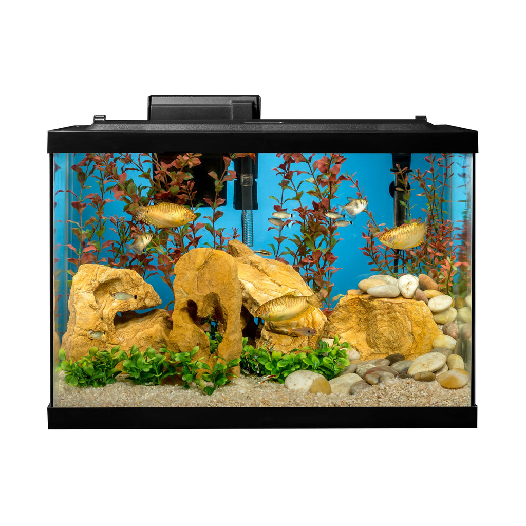 20 Gallon Fish Tank Kit G35988