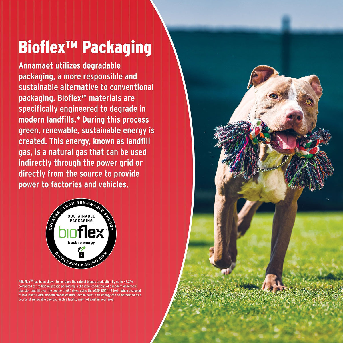 Chicken & Brown Rice Dry Dog Food 40-lb bag A8439